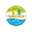 画像1: ◆ほほらら工房◆【シロハラインコ】ドリンク風 缶バッチ（黄緑・水色）【送料◆代引き・銀行振込◆６７５円 ※一部地域を除く】【送料◆銀行振込限定◆ネコポス 全国一律３８５円】 (1)