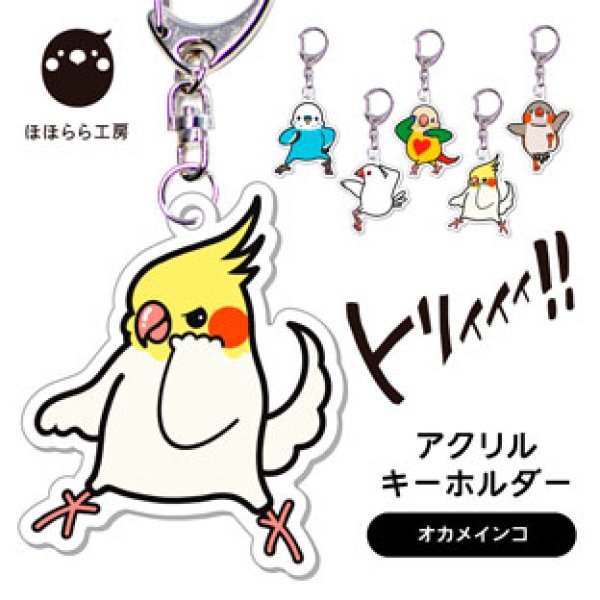 画像1: ◆ほほらら工房◆【オカメインコ】決めポーズのキーホルダー！！【送料◆代引き・銀行振込◆６７５円 ※一部地域を除く】【送料◆銀行振込限定◆ネコポス 全国一律３８５円】 (1)